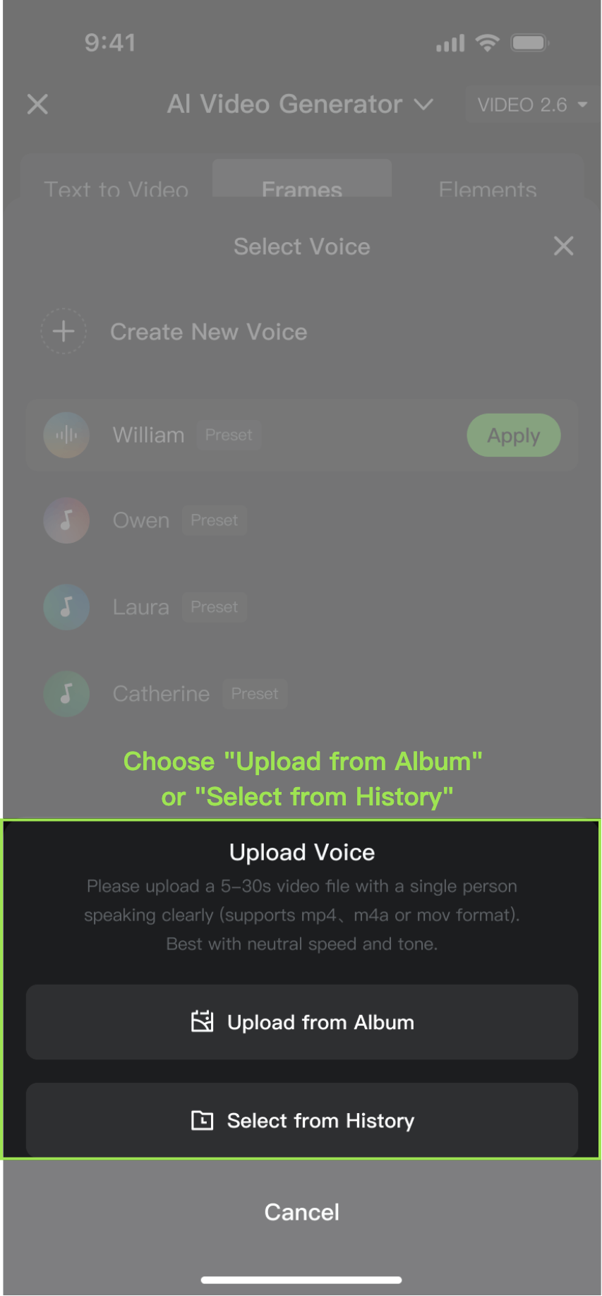 KLING VIDEO 2.6 User Guide (8)